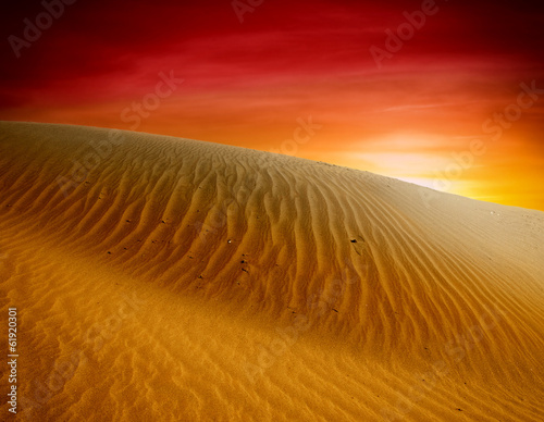 Fototapeta Naklejka Na Ścianę i Meble -  Sand dunes at sunset in the Sahara Desert