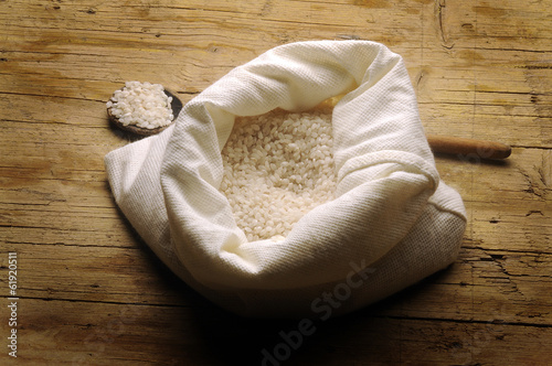 Oryza sativa أرز ओराय्ज़ा सैटिवा イネ 水稻 Рис посевной