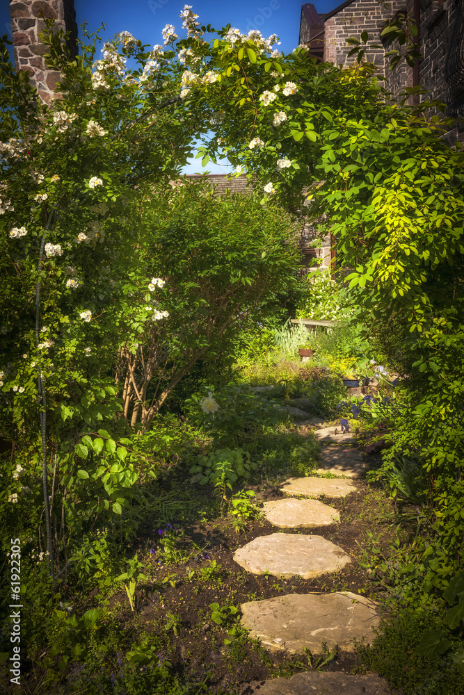 Summer garden and path