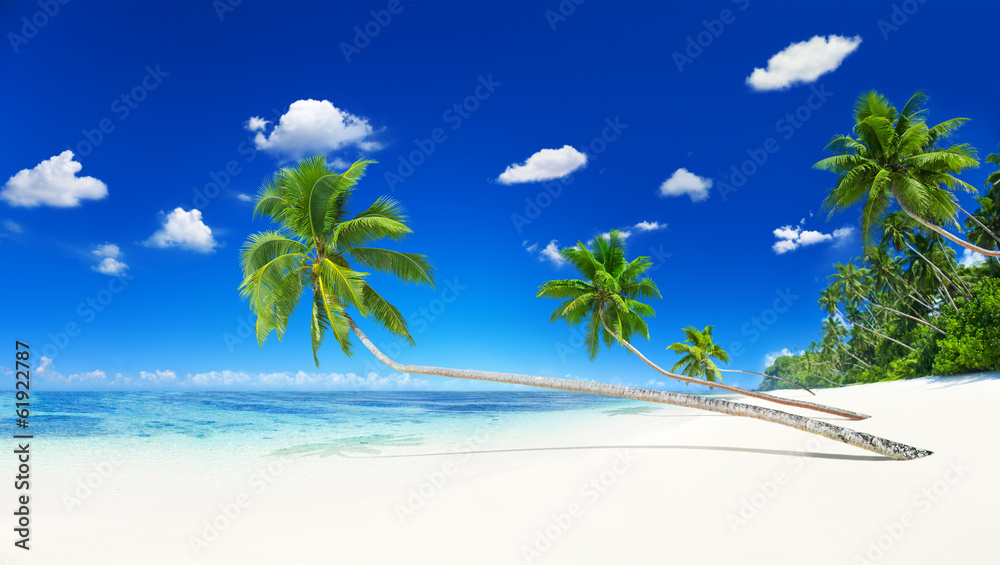 Scenic View of the Sea Shore with White Sand