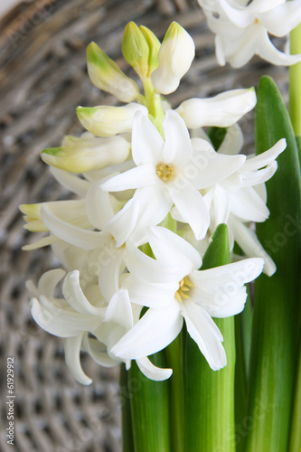 Fototapeta Naklejka Na Ścianę i Meble -  White hyacinth on wicker background