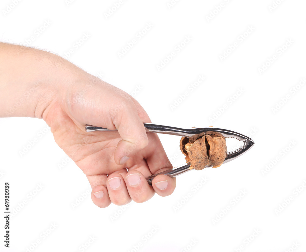 Man's hand cracking a walnut. Man's hand cracking a walnut.