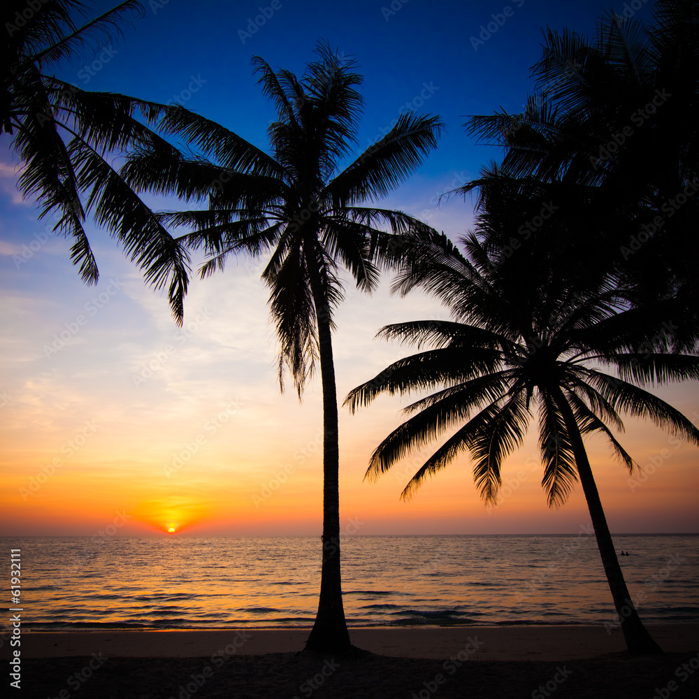 Beautiful sunset at tropical beach with palm trees
