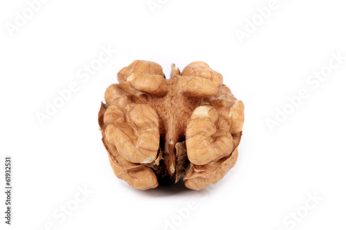 Close up of kernel walnut.