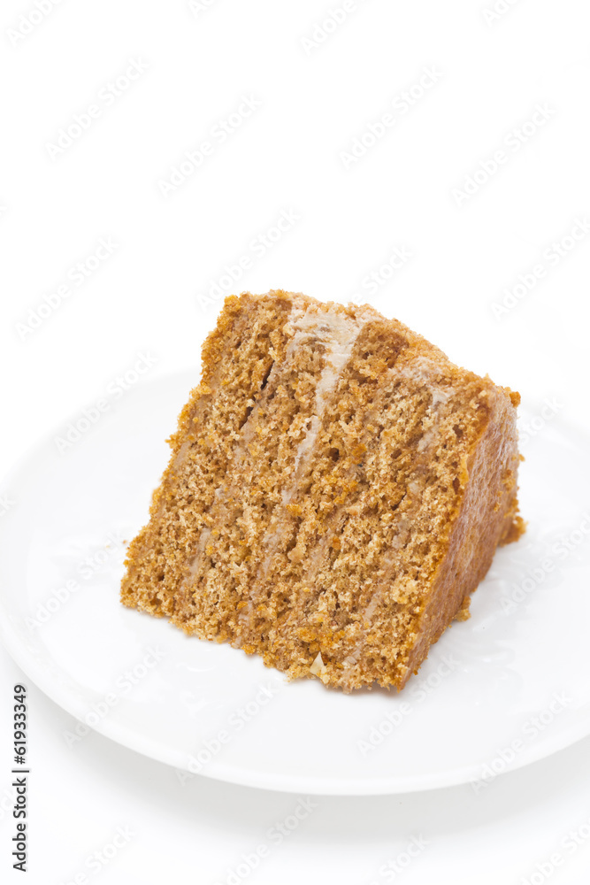piece of honey cake on a white background