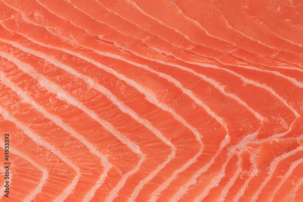 Close up of salmon fillet. Macro.