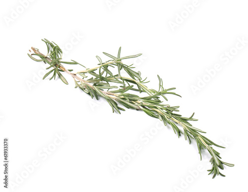 Twig of rosemary on a white.