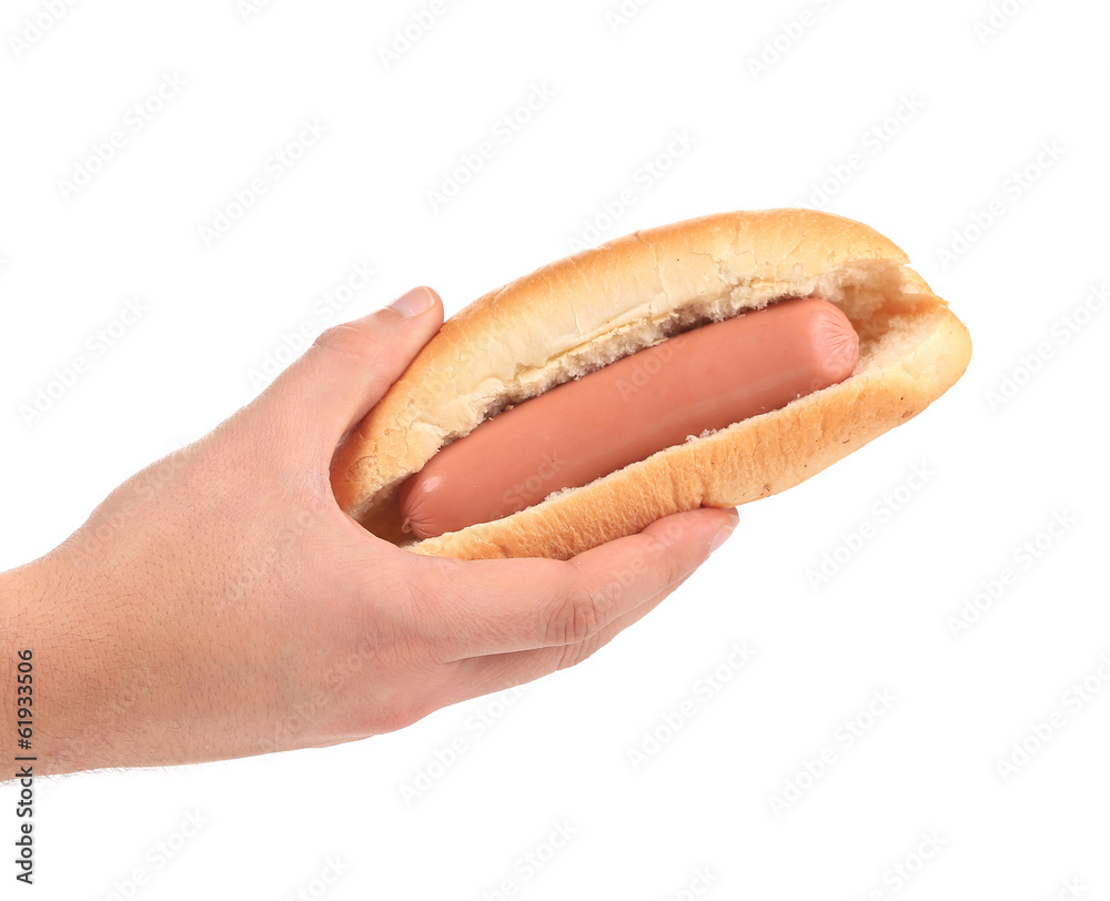 Hand holds hotdog. Hand holds hotdog.