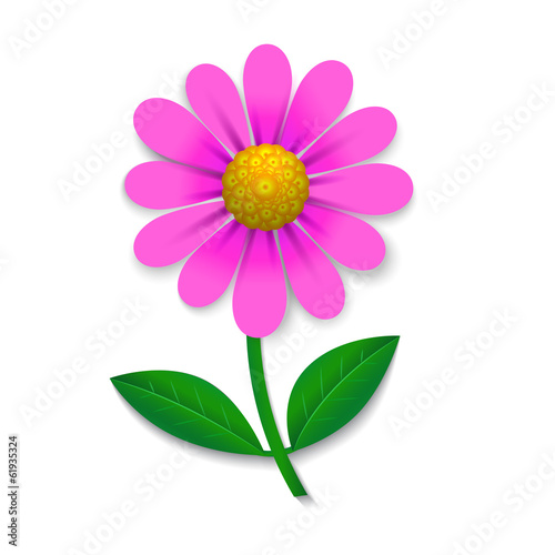 Fototapeta Naklejka Na Ścianę i Meble -  Pink flower
