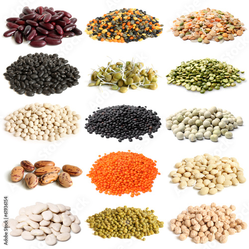 Selection of various legumes photo