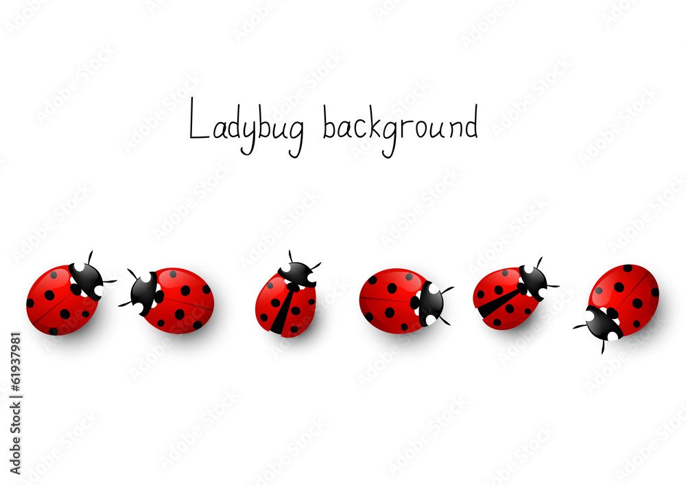 Naklejka premium Ladybugs border