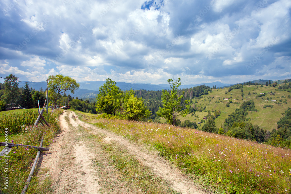 Trail through lush green forest in Carpathian mountains