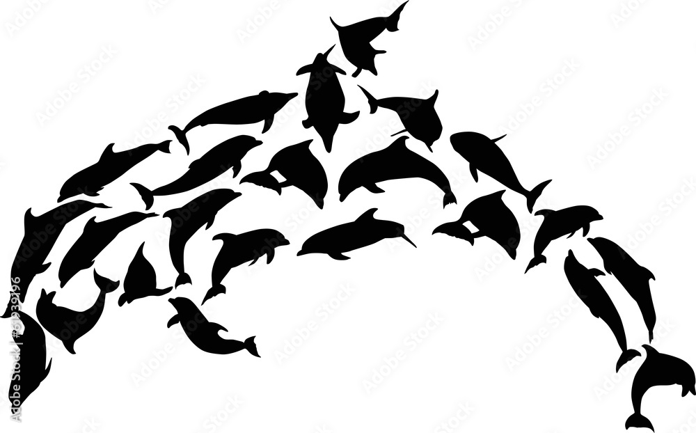 complex black dolphin on white complex black dolphin on white