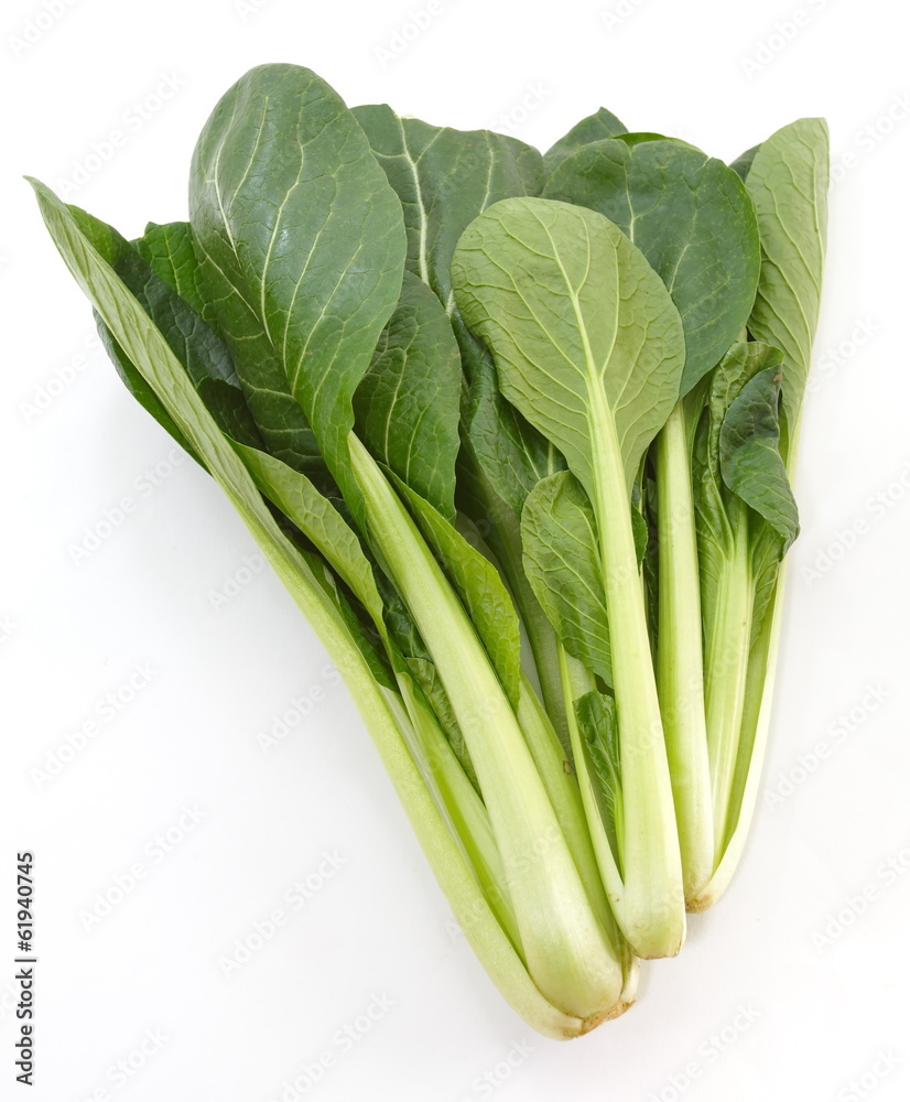 fresh ripe of chinese cabbage on white background fresh ripe of chinese cabbage on white background