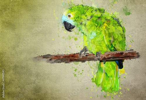 Parrot painting style
