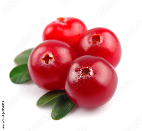 Sweet cranberries close up