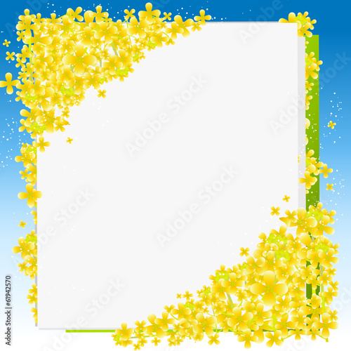 菜の花 カード