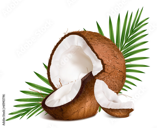 Coconuts with leaves.
