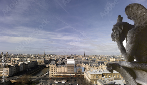 Notre Dame of Paris - Panoramic view with Chimera