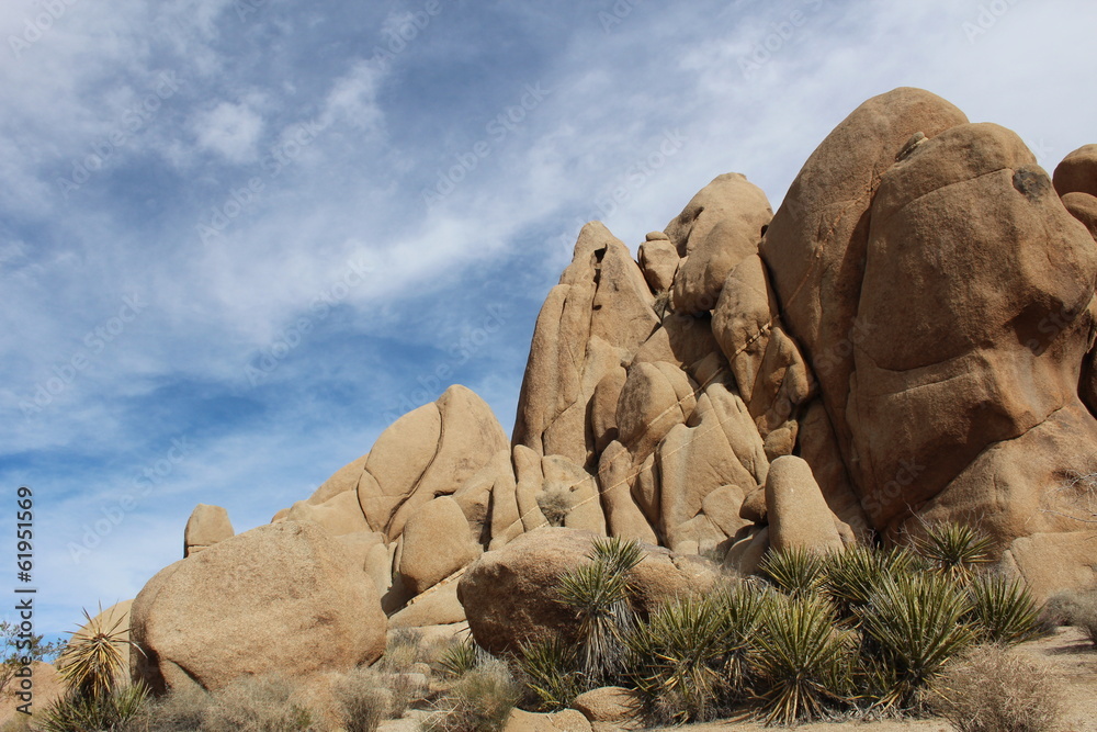 Joshua Tree National Park Rock Landscape