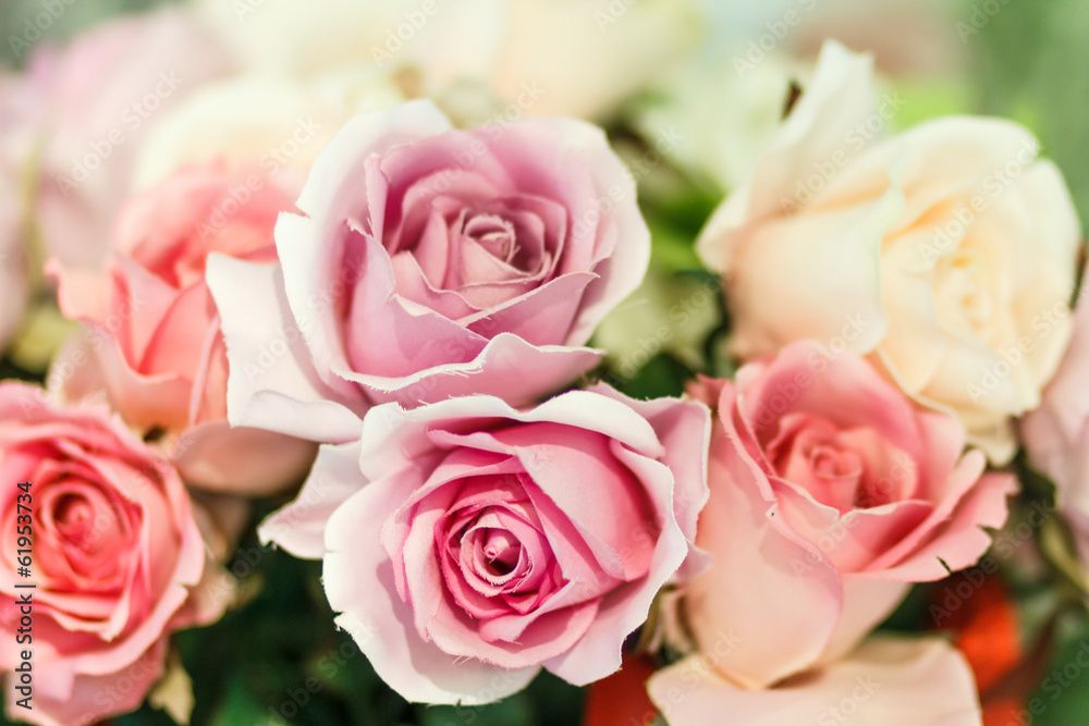 Fototapeta premium różowe sztuczne róże z bliska