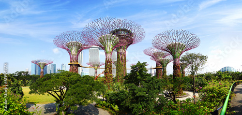 Canvas Print Gardens by the Bay. Singapore