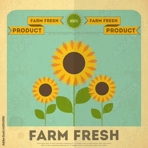 Fototapeta Naklejka Na Ścianę i Meble -  Poster for Organic Farm Food