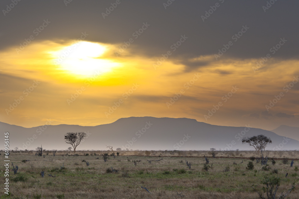 Fototapeta premium Tsavo East Sunset