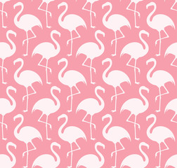 Fototapete Flamingomuster Eleganter Flamingo am Wasser  © Aleksei_7799