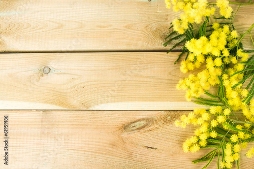 Fiori di primavera