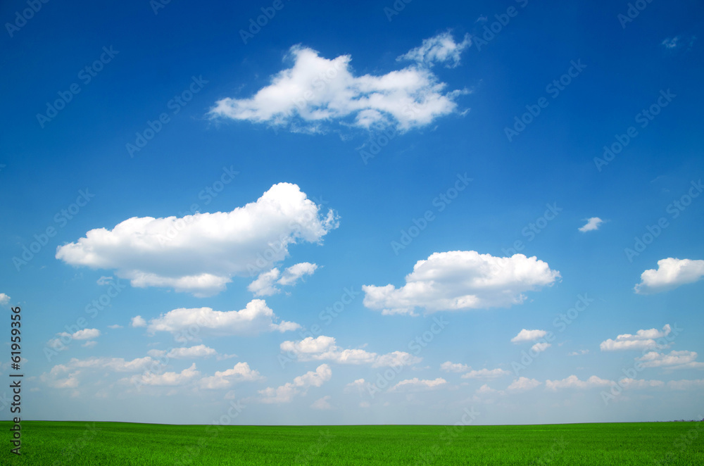 green field green field