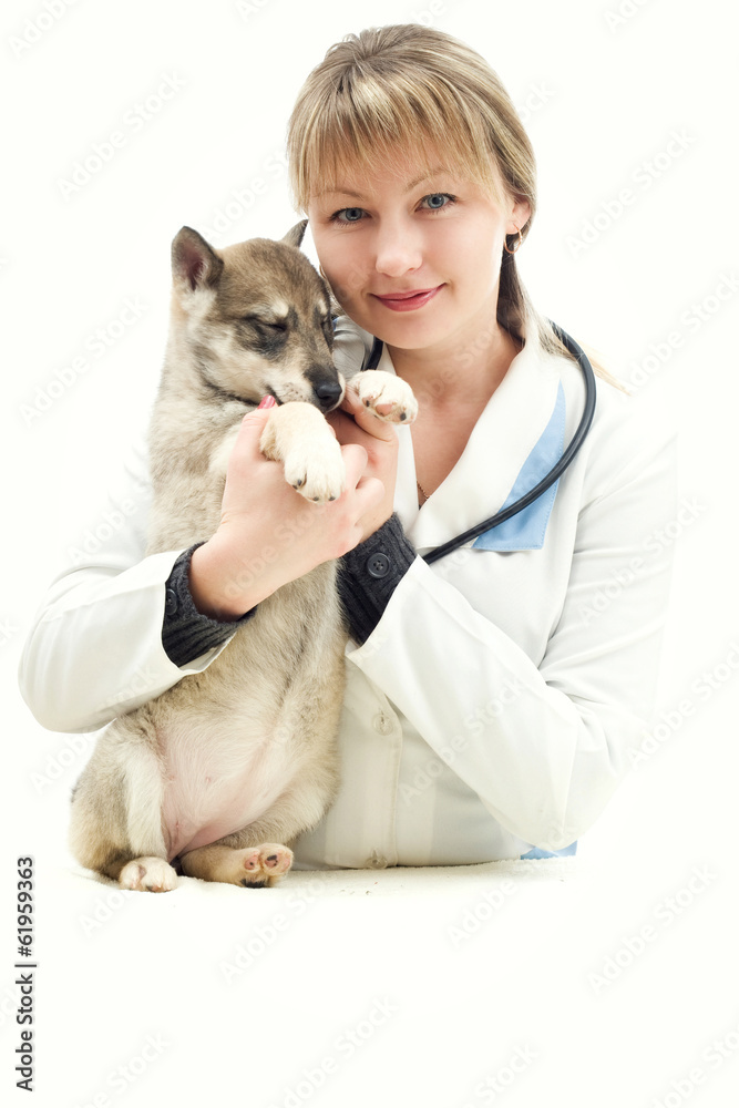 Veterinarian and Puppy
