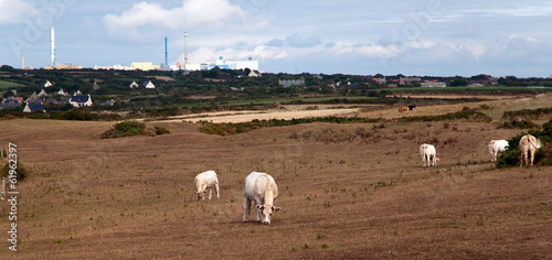 Cap de la Hague photo