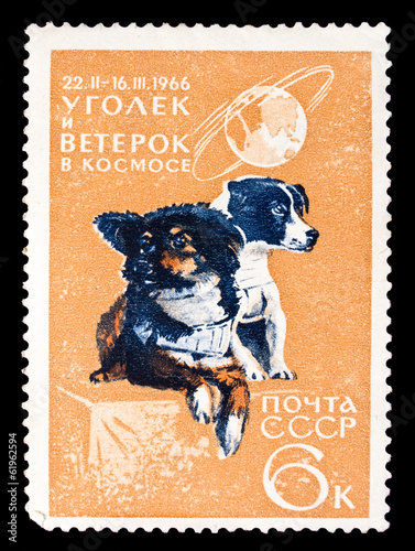 USSR stamp, space dogs Ugolek and Veterok