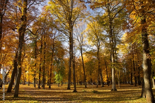 Autumn in park © Sandra Kemppainen