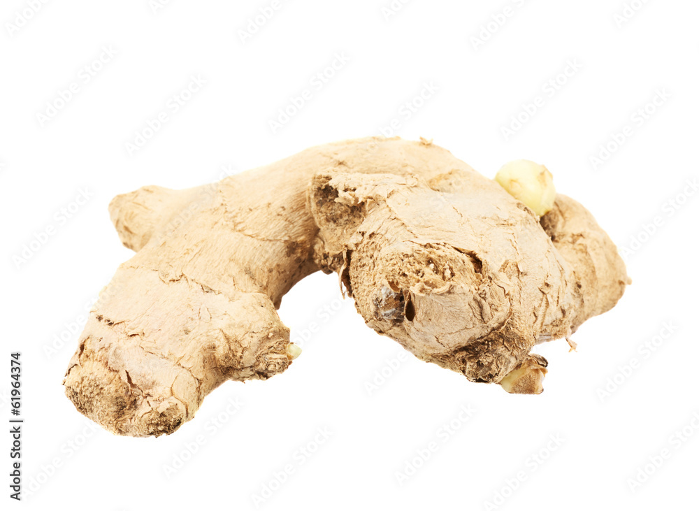 Ginger root isolated Ginger root isolated