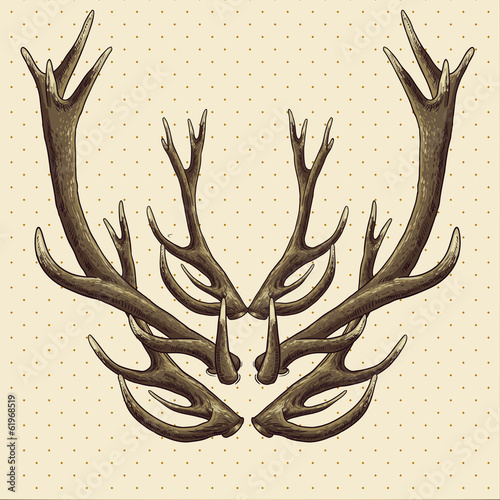 Hipster vintage background with deer antlers