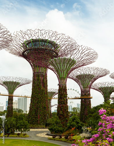 Singapour, trees