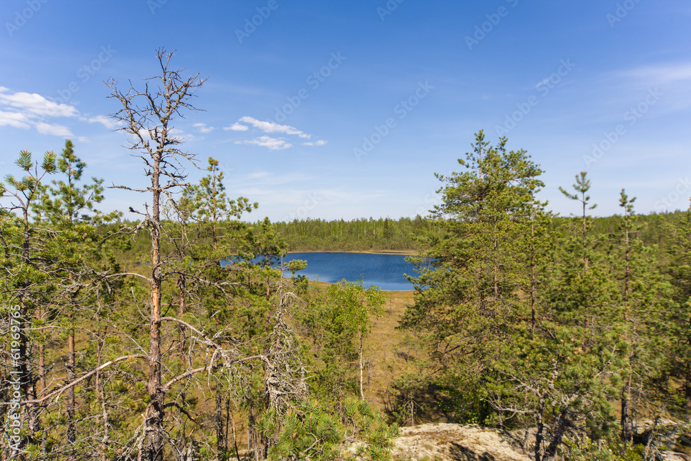 Obraz premium summer landscape