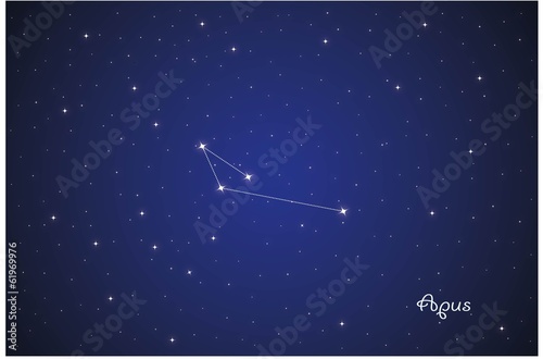 Constellation Apus