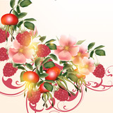 Beautiful vector background  with flowers and berries