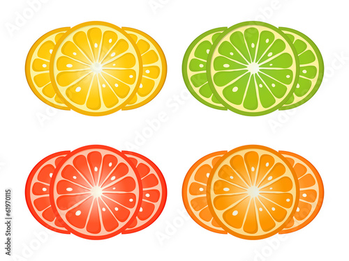 Citrus fruit slices