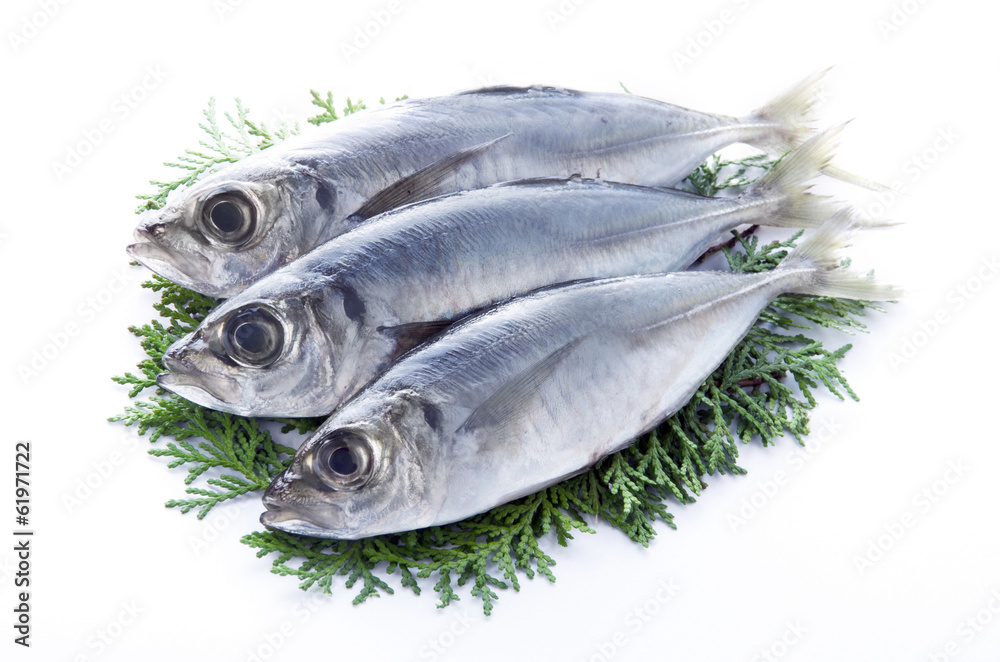 豆あじ 豆あじ