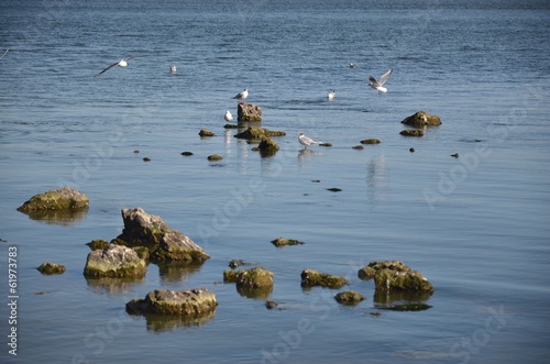 ETANG DE BERRE photo