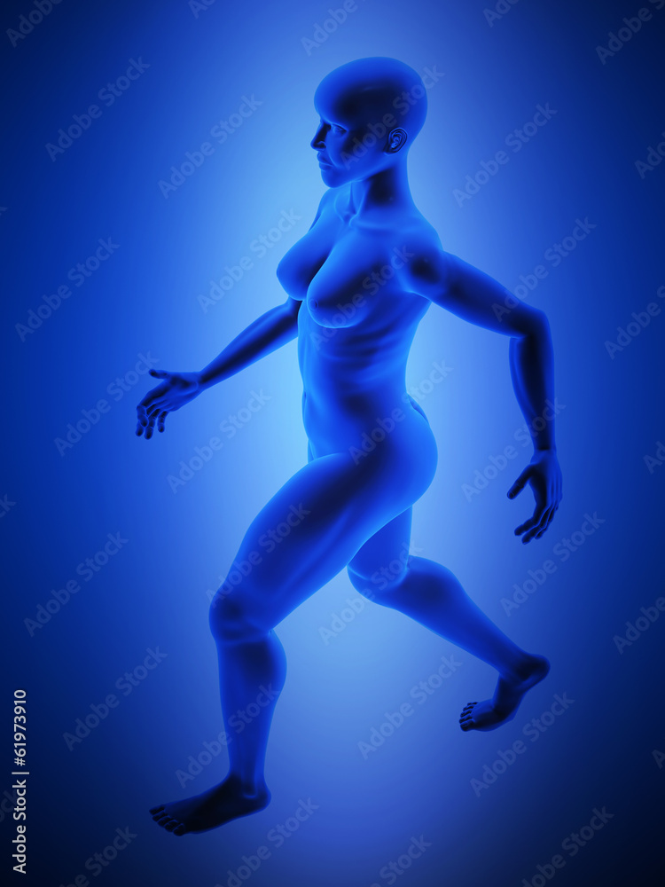 female human body