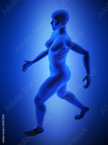 female human body