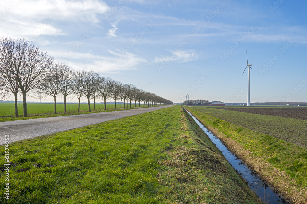 Trees and road along farmland in winter