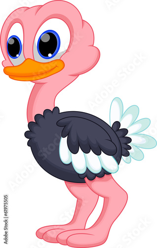 Cute baby ostrich cartoon