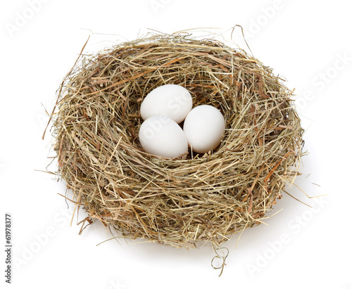 White eggs in nest photo