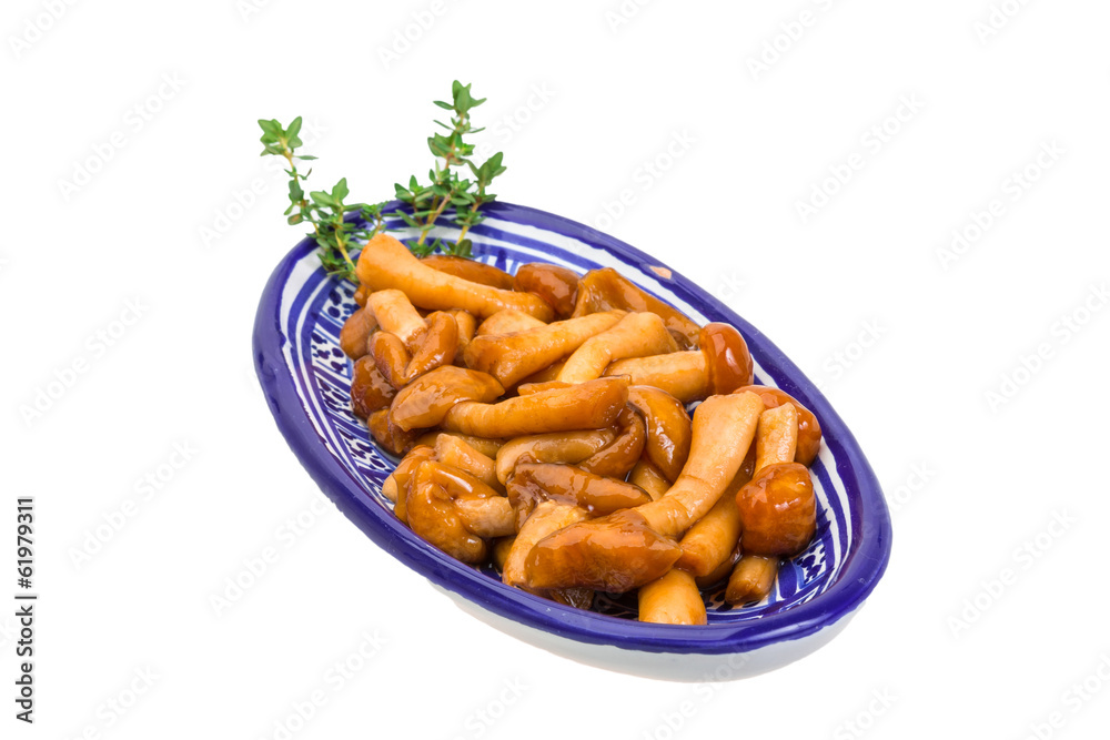 Armillaria Armillaria